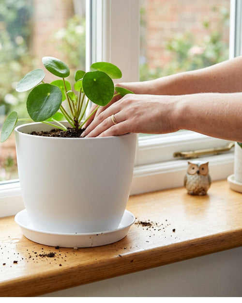 Fndzk Plastic Planter White 8 in with Saucer